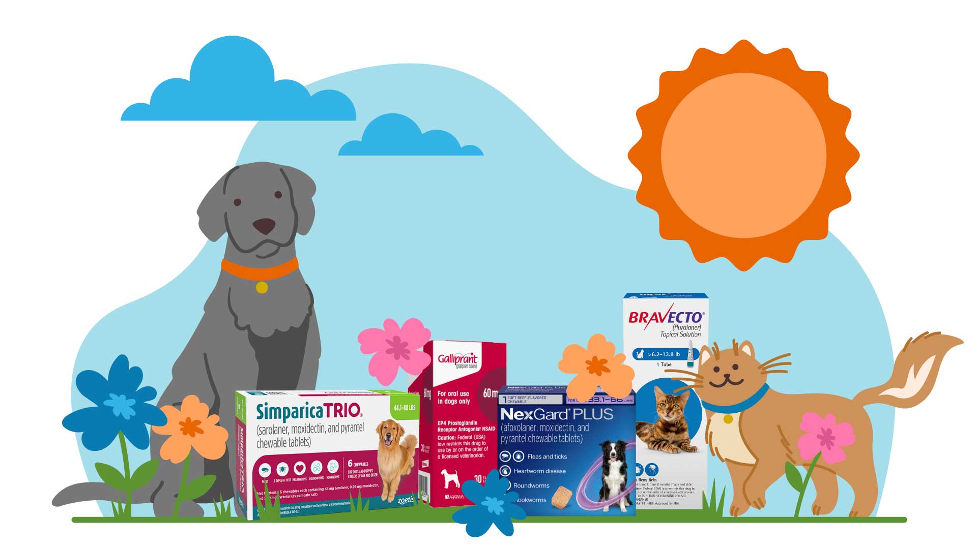 Illustration of a grey dog and brown cat surrounded by flea and tick medications