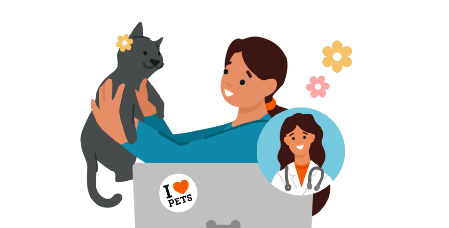 Cat owner booking a virtual vet visit on her phone
